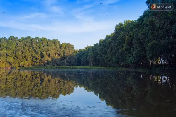 Độc đáo khu du lịch sinh thái Vườn quốc gia Tràm Chim - Ảnh 2.