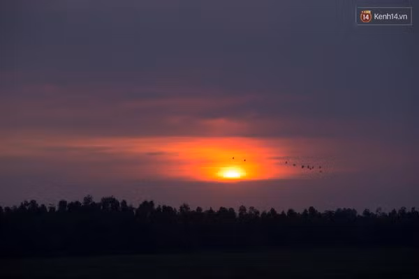 Độc đáo khu du lịch sinh thái Vườn quốc gia Tràm Chim - Ảnh 3.