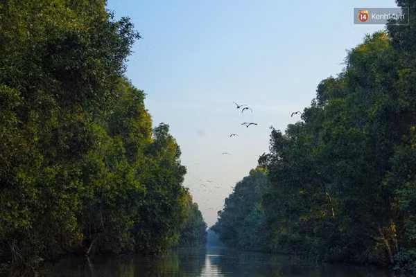 Độc đáo khu du lịch sinh thái Vườn quốc gia Tràm Chim - Ảnh 4.