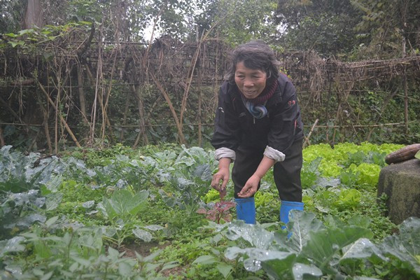 Cuộc sống kỳ lạ của 2 chị em "người rừng" giữa "ốc đảo" hoang vắng ảnh 9 Cuộc sống kỳ lạ của 2 chị em "người rừng" giữa "ốc đảo" hoang vắng ảnh 9