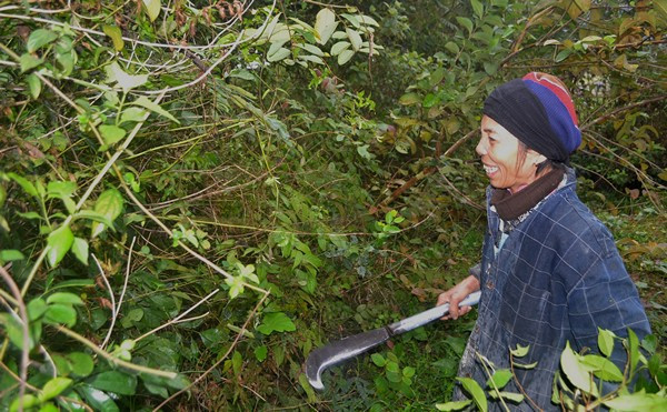 Cuộc sống kỳ lạ của 2 chị em "người rừng" giữa "ốc đảo" hoang vắng ảnh 10 Cuộc sống kỳ lạ của 2 chị em "người rừng" giữa "ốc đảo" hoang vắng ảnh 10