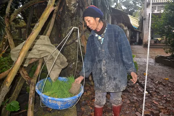 Cuộc sống kỳ lạ của 2 chị em "người rừng" giữa "ốc đảo" hoang vắng ảnh 21