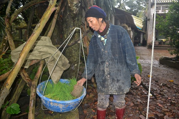 Cuộc sống kỳ lạ của 2 chị em "người rừng" giữa "ốc đảo" hoang vắng ảnh 21 Cuộc sống kỳ lạ của 2 chị em "người rừng" giữa "ốc đảo" hoang vắng ảnh 21