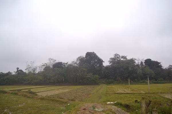 Cuộc sống kỳ lạ của 2 chị em "người rừng" giữa "ốc đảo" hoang vắng ảnh 2