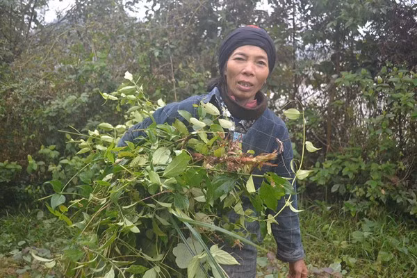 Cuộc sống kỳ lạ của 2 chị em "người rừng" giữa "ốc đảo" hoang vắng ảnh 11