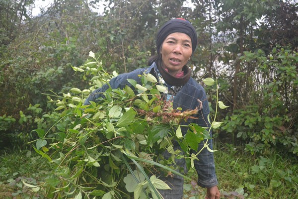 Cuộc sống kỳ lạ của 2 chị em "người rừng" giữa "ốc đảo" hoang vắng ảnh 11 Cuộc sống kỳ lạ của 2 chị em "người rừng" giữa "ốc đảo" hoang vắng ảnh 11
