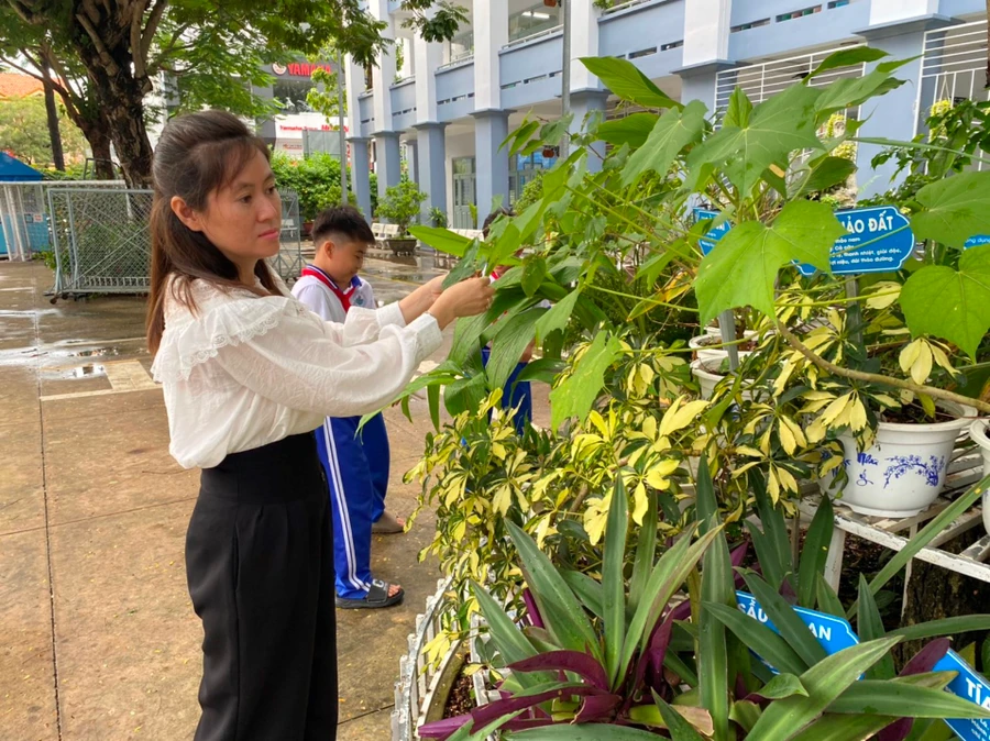 Cô và trò Trường Tiểu học Thủ Khoa Huân (TP Mỹ Tho, Tiền Giang) chăm sóc vườn thuốc Nam. Ảnh: X.Uyên