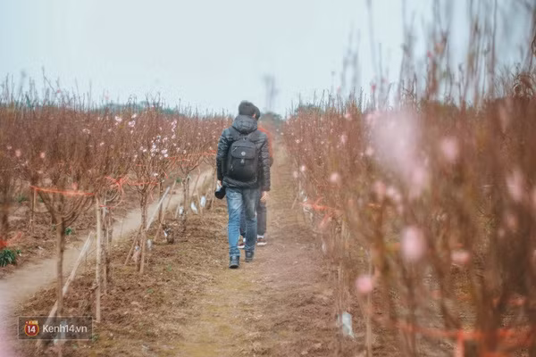 Những ngày này, đây chính là 3 địa điểm chụp hình được ưa thích nhất ở Hà Nội! - Ảnh 6.