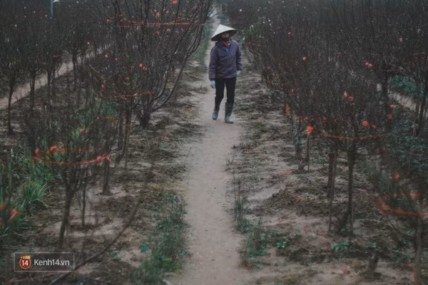 Những ngày này, đây chính là 3 địa điểm chụp hình được ưa thích nhất ở Hà Nội! - Ảnh 2.