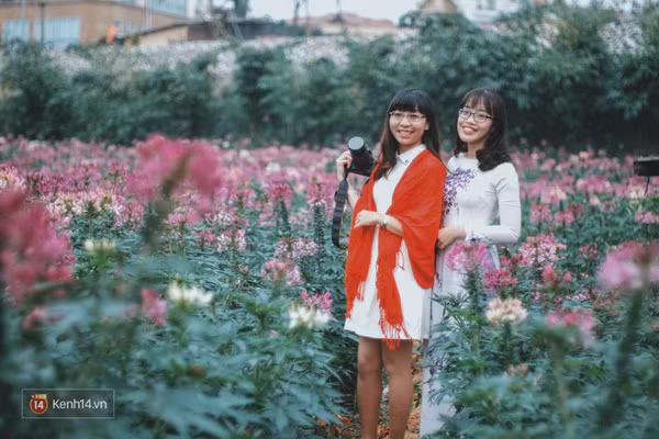 Những ngày này, đây chính là 3 địa điểm chụp hình được ưa thích nhất ở Hà Nội! - Ảnh 8.