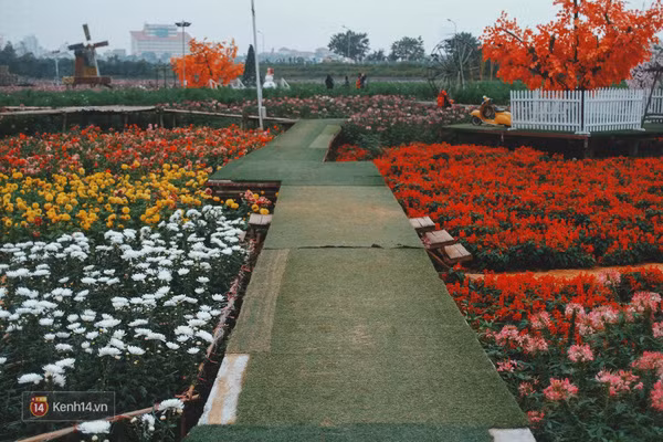 Những ngày này, đây chính là 3 địa điểm chụp hình được ưa thích nhất ở Hà Nội! - Ảnh 14.