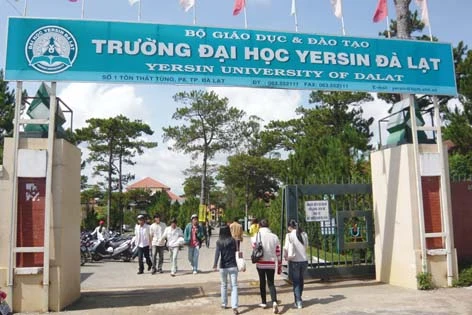 Đề án tuyển sinh riêng của Trường Đại học Yersin Đà Lạt