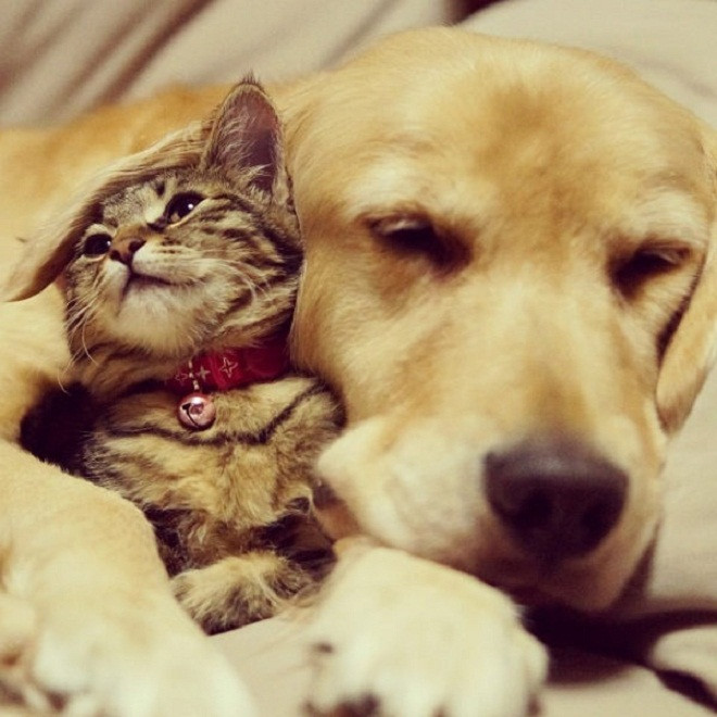 Tui là tui thích nhất cái tai của anh đấy.