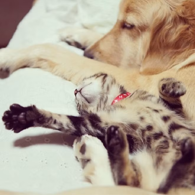 Làm gì mà giơ cả hai tay lên trời thế kia?.