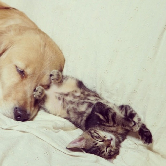 Vô duyên chưa, đạp cả chân vào mặt người ta rồi .