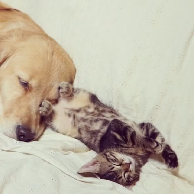 Vô duyên chưa, đạp cả chân vào mặt người ta rồi .