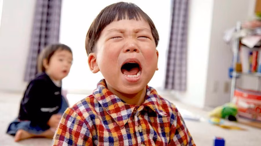 Ảnh minh họa Internet.