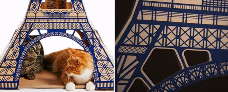 Can than day con nguoi, ngay Trai Dat bi loai meo xam chiem khong con xa nua dau! - Anh 11