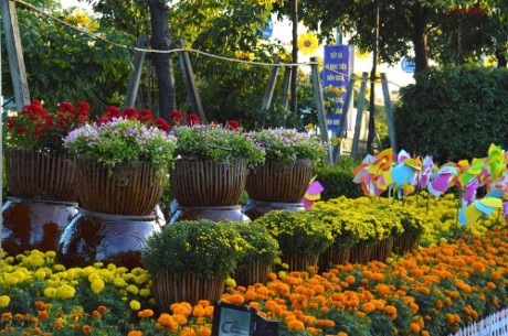 Ngam duong hoa Binh Duong voi ban sac nhung lang nghe - Anh 13