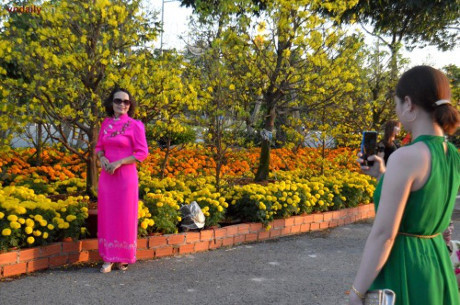 Ngam duong hoa Binh Duong voi ban sac nhung lang nghe - Anh 3