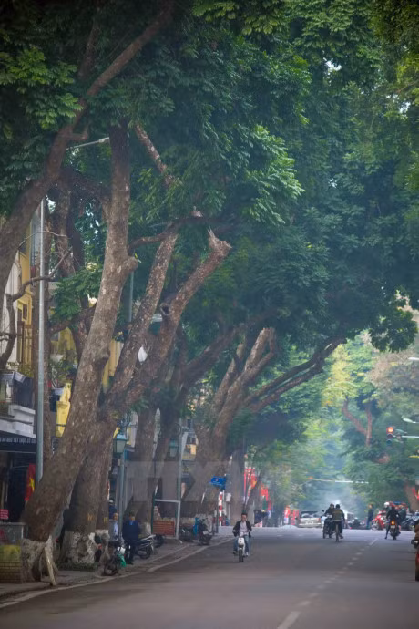 Pho phuong Ha Noi vang lang trong nhung ngay cuoi nam - Anh 10