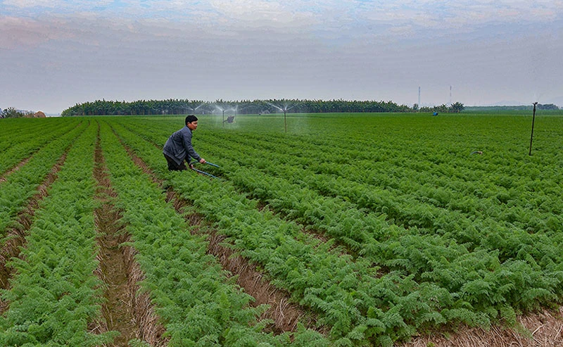 Hệ thống thông tin nông nghiệp được kỳ vọng sẽ giúp tỉnh Bắc Ninh đưa ra những quyết sách quan trọng trong lĩnh vực nông nghiệp. Ảnh: Internet