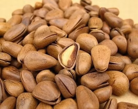 Ban se bat ngo truoc nhung tac dung tuyet voi cua loai cay co nguon goc xu lanh nay! - Anh 1