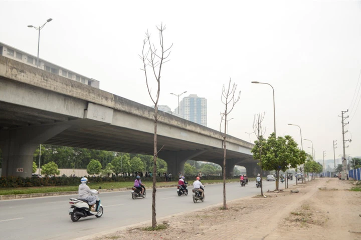 Thêm hàng loạt cây xanh trên đường Hà Nội trụi lá, chết khô