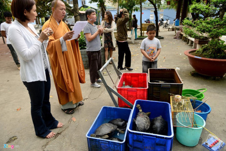 Chi tiền mua rùa phóng sinh, bắt được rùa quý cũng phóng sinh - Ảnh 6 Chi tien mua rua phong sinh, bat duoc rua quy cung phong sinh - Anh 6