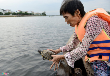 Chi tiền mua rùa phóng sinh, bắt được rùa quý cũng phóng sinh - Ảnh 11 Chi tien mua rua phong sinh, bat duoc rua quy cung phong sinh - Anh 11
