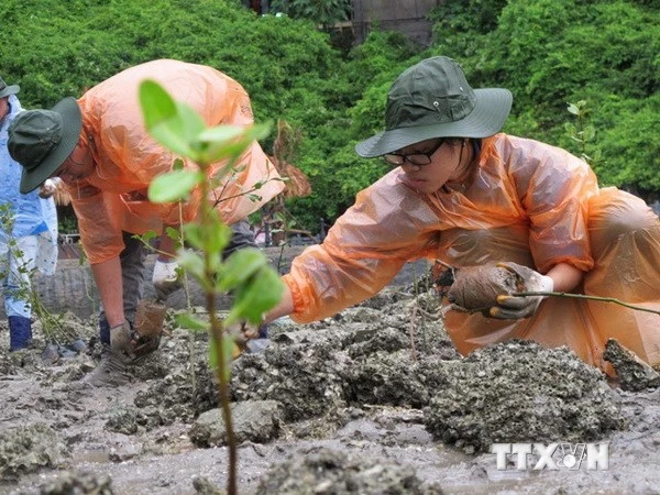 Phân bổ 3.000 tỷ đồng cho Chương trình ứng phó với biến đổi khí hậu