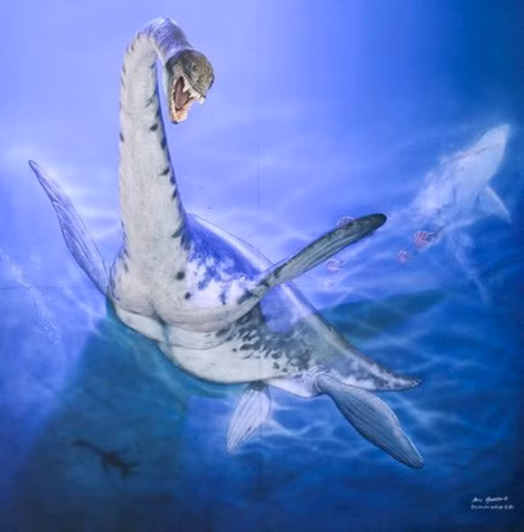 Xôn xao những sinh vật giống rồng - Ảnh 11