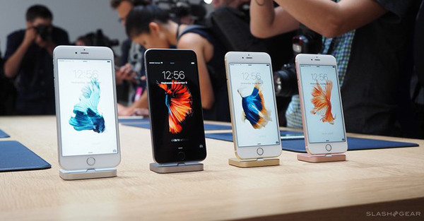 Nguồn gốc hình nền cá chọi trên iPhone 6s