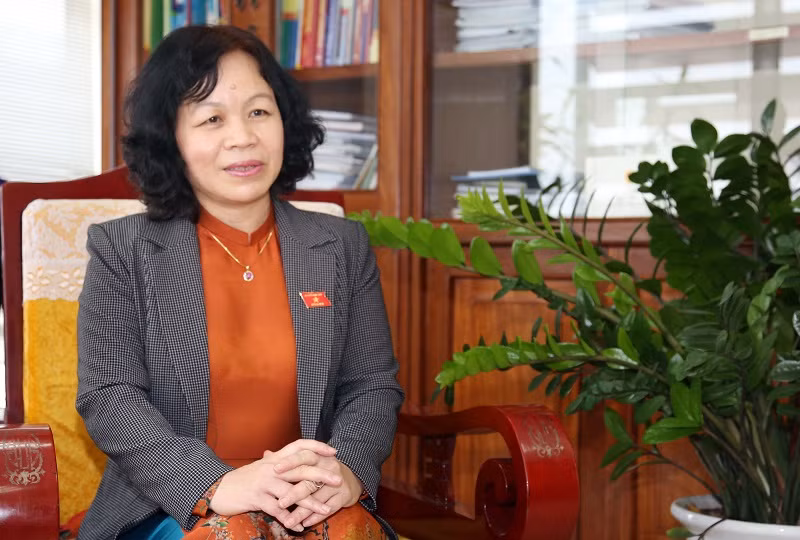 Đại biểu Quốc hội Nguyễn Thị Mai Hoa. Ảnh: NVCC