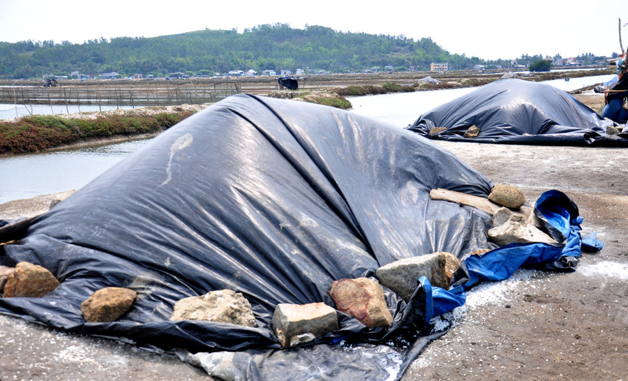 Từng ụ muối phủ bạt kín giữa đồng muối Sa Huỳnh chờ thương lái thu mua.