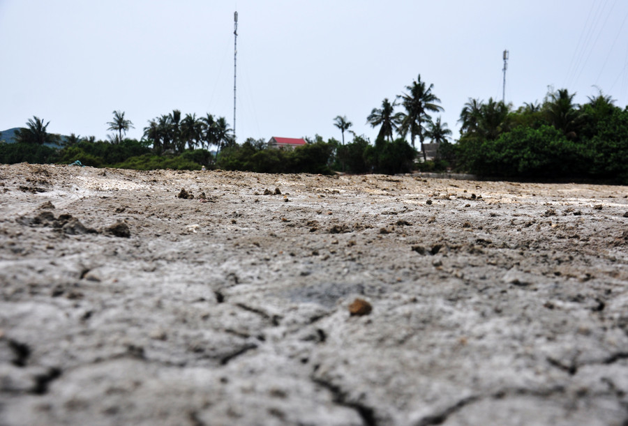 Theo ông Thạch, Việt Nam có bờ biển dài hơn 3.200 km nhưng phải nhập khẩu muối. Trong khi diêm dân ở các vùng ven biển miền Trung lại sống bấp bênh đành bỏ hoang ruộng muối, thương lái ép giá là quá vô lý.