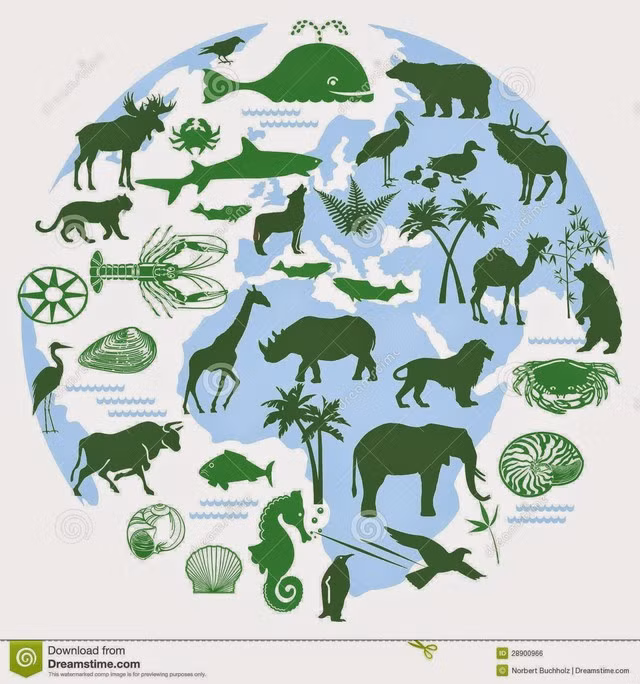 Điều gì khiến Darwin bó tay, không thể giải thích nổi? ảnh 3