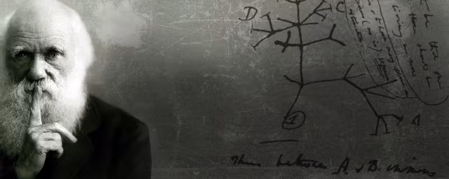 Điều gì khiến Darwin bó tay, không thể giải thích nổi? ảnh 1