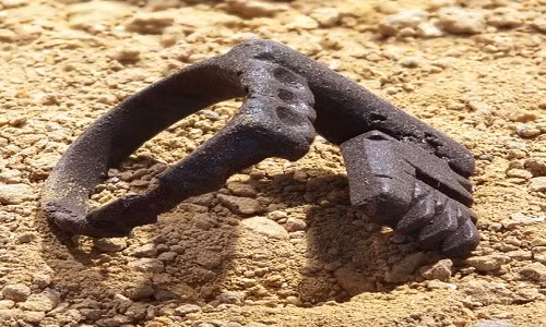 nhan-cuoi-trong-the-gioi-co-dai-1