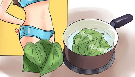 3 cách trị nám và mụn chỉ bằng lá trầu không - Ảnh 7 3 cach tri nam va mun chi bang la trau khong - Anh 7