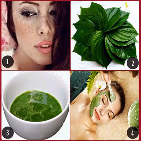 3 cach tri nam va mun chi bang la trau khong - Anh 3