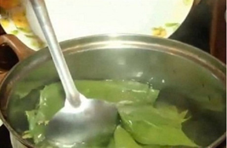 3 cách trị nám và mụn chỉ bằng lá trầu không - Ảnh 8 3 cach tri nam va mun chi bang la trau khong - Anh 8