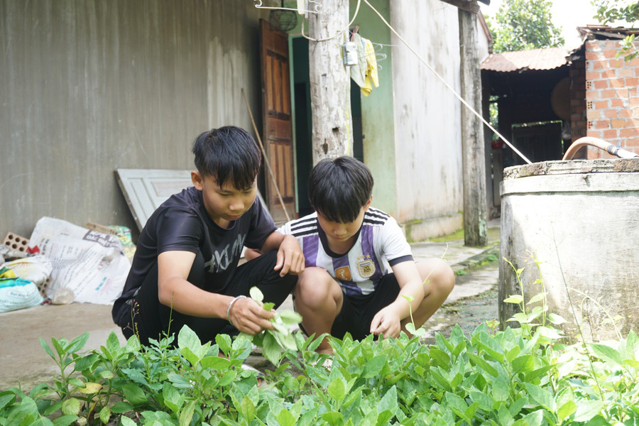 Ngoài giờ lên lớp, Trung và Thắng làm công việc nhà để đỡ đần mẹ.