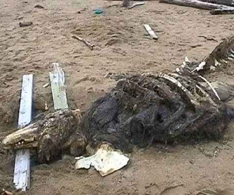 Cuối cùng thì các nhà khoa học cũng có thể đưa ra lời giải đáp ... Cuối cùng thì các nhà khoa học cũng có thể đưa ra lời giải đáp ...