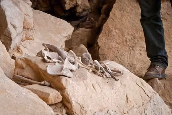 Giật mình những ngôi mộ hình mặt người trên đá cheo leo ảnh 5