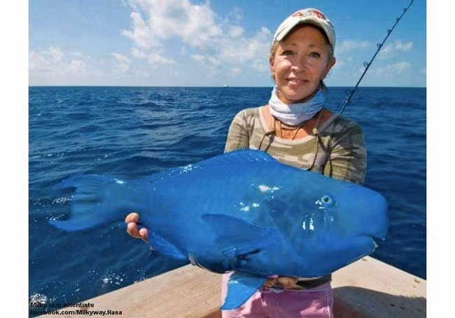 Những sinh vật có thực bước ra từ phim viễn tưởng ảnh 8