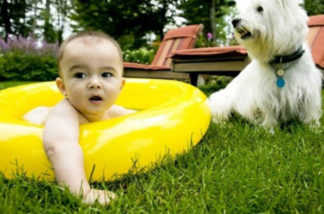 Kinh hoàng: Bé 4 tháng tuổi bị chó cắn rách tai, mất ngón tay khi ở nhà với anh trai 4 tuổi - Ảnh 2 Kinh hoang: Be 4 thang tuoi bi cho can rach tai, mat ngon tay khi o nha voi anh trai 4 tuoi - Anh 2
