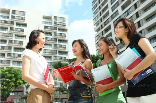 Giải pháp duy nhất là tự trau dồi và học hỏi