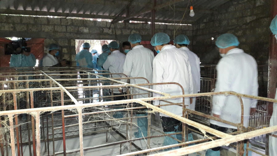 Đoàn công tác Bộ NN&PTNT kiểm tra chuồng chăn nuôi tại vùng nhiễm dịch Đoàn công tác Bộ NN&PTNT kiểm tra chuồng chăn nuôi tại vùng nhiễm dịch