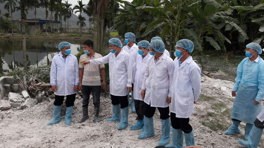 Đoàn công tác của Bộ Nông nghiệp và Phát triển nông thôn kiểm tra DTLCP tại Hải Phòng Đoàn công tác của Bộ Nông nghiệp và Phát triển nông thôn kiểm tra DTLCP tại Hải Phòng